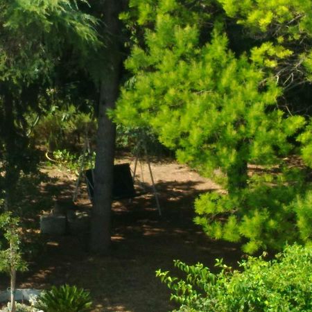Paestum House Bed and Breakfast Buitenkant foto