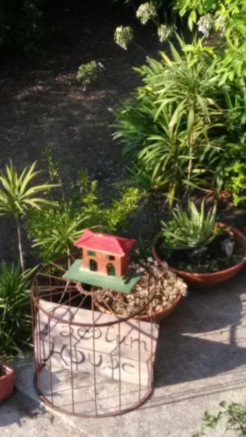 Paestum House Bed and Breakfast Buitenkant foto